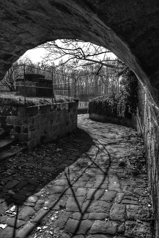 Le chemin (18).....à l'Elbe