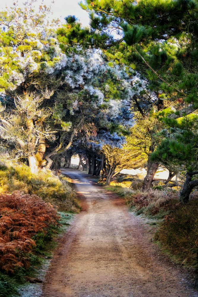 Le chemin (23) ..... randonnée hivernale