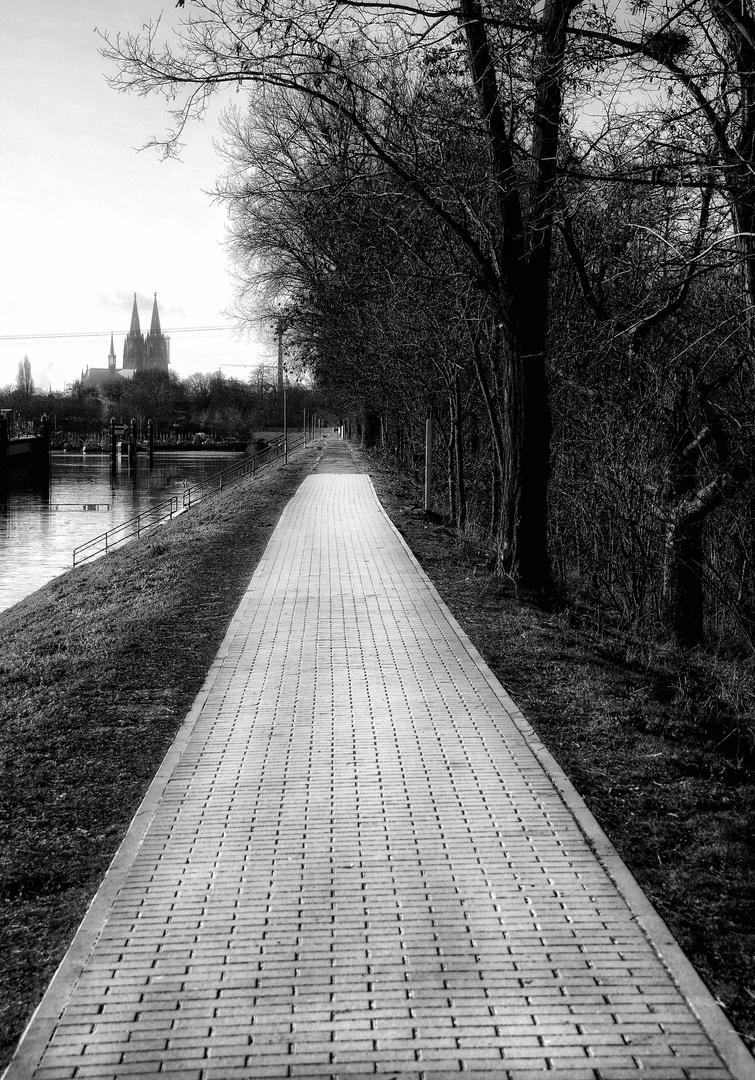 Le chemin (25) .....mène à la cathédrale de Cologne!