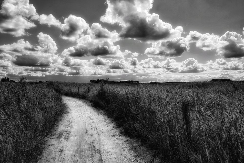 Le chemin (40); cela mène le long de la mer!