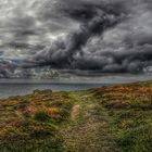 Le chemin (55) ; mène directement à la mer 