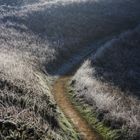 Le chemin (56) ; encore une fois avec le gel !