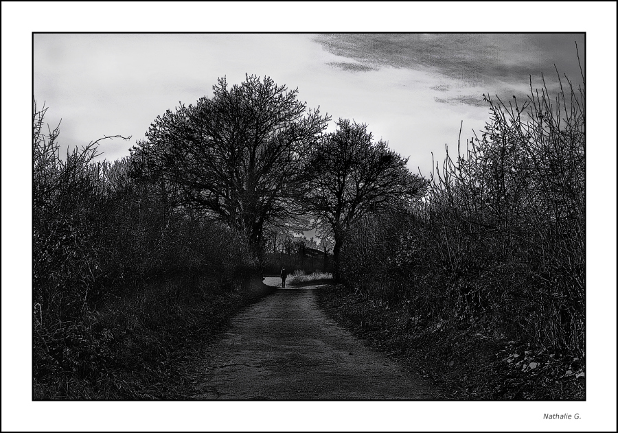 Le chemin