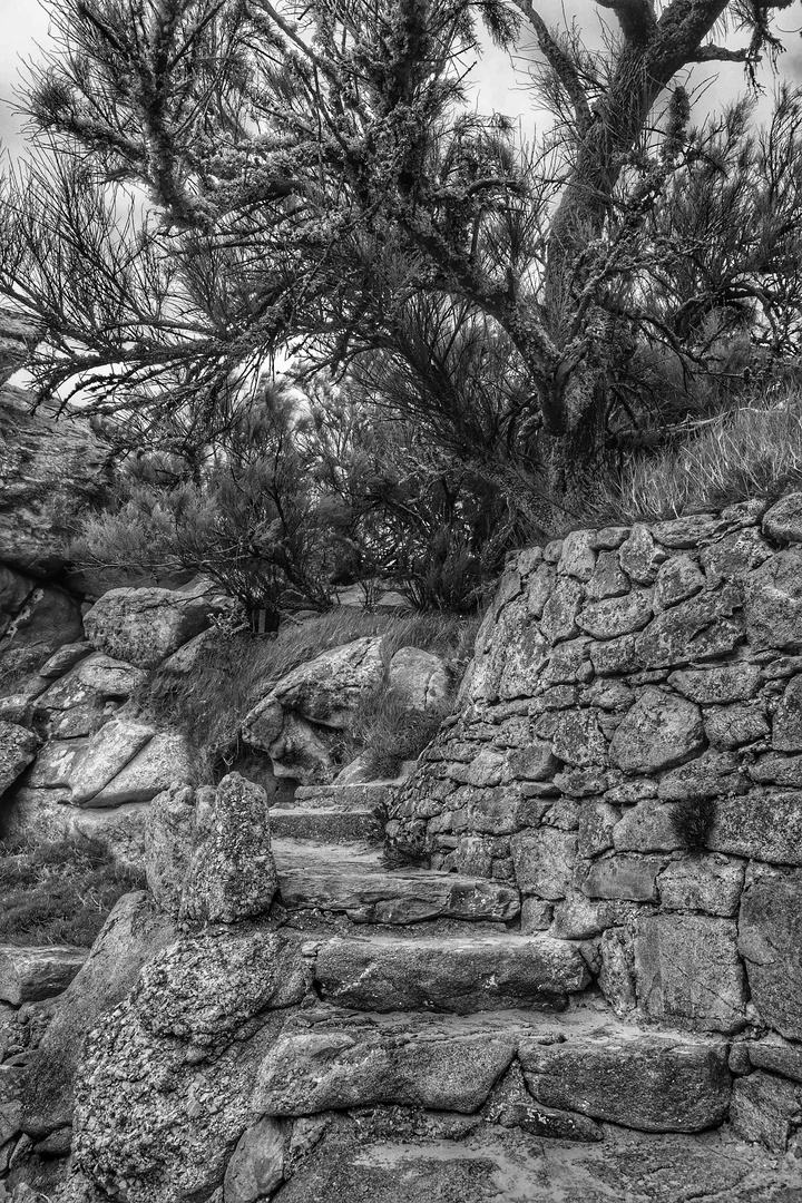 Le chemin (66) ; mène par de vieux escaliers, vers le haut !