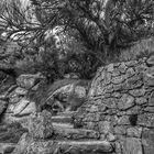 Le chemin (66) ; mène par de vieux escaliers, vers le haut !