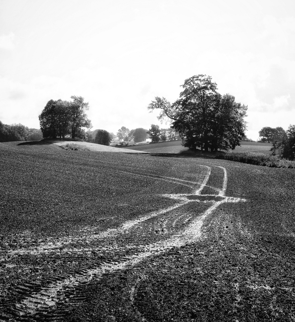 Le chemin (67); ....celui-ci passe par un champ et est temporaire 