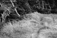 Le chemin (69) ; que les douaniers prenaient déjà autrefois.....