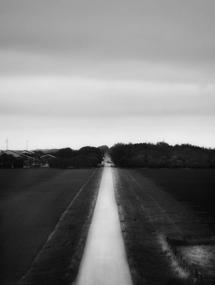 Le chemin (9)