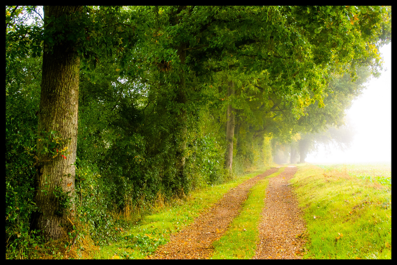 Le chemin photo et image france, nature, world Images Le chemin photo et image france, nature, world Images