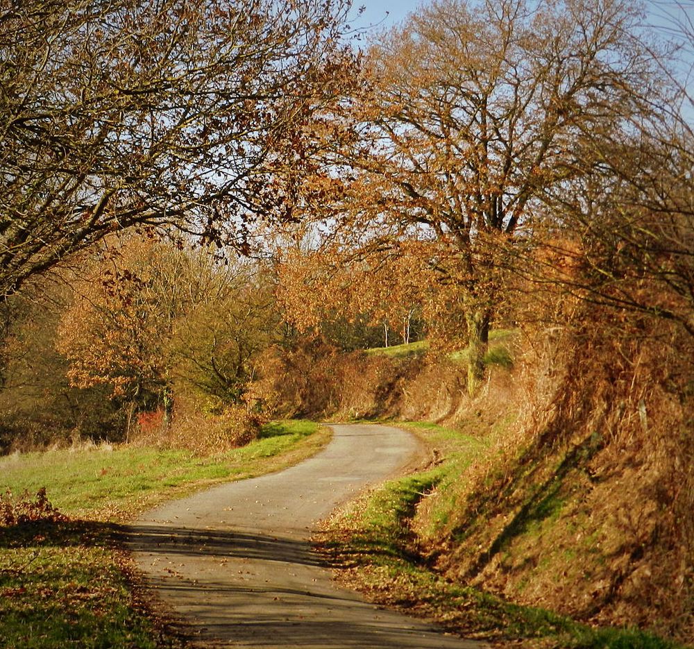 le chemin