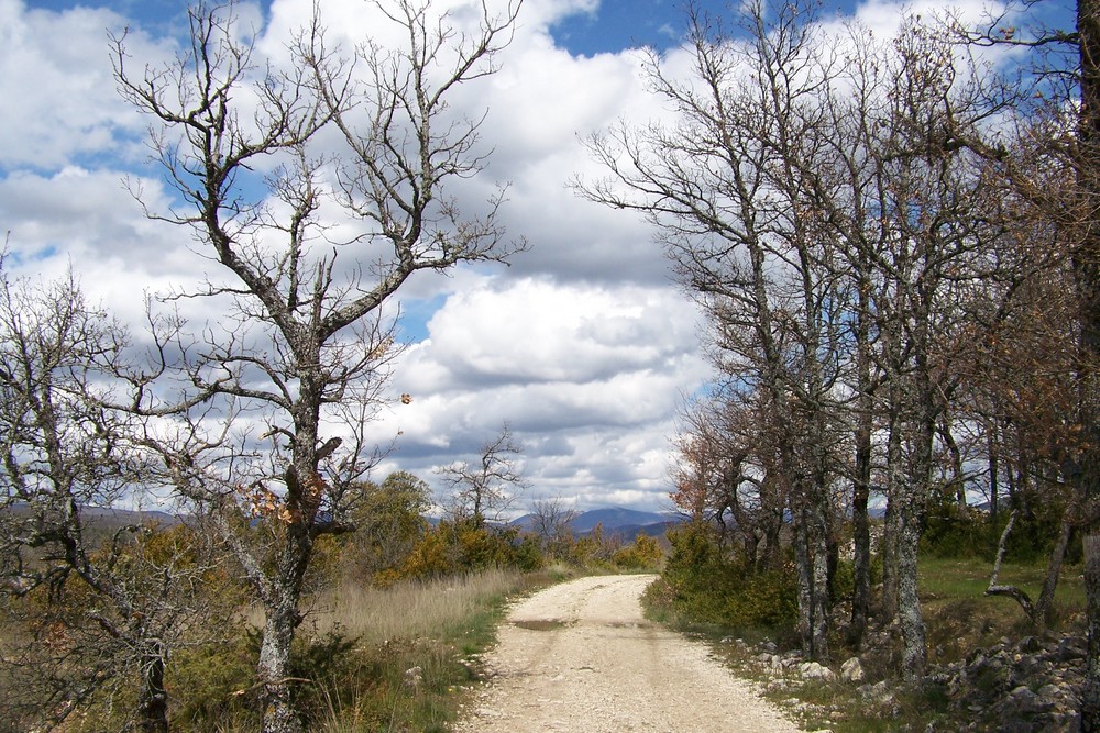 Le chemin