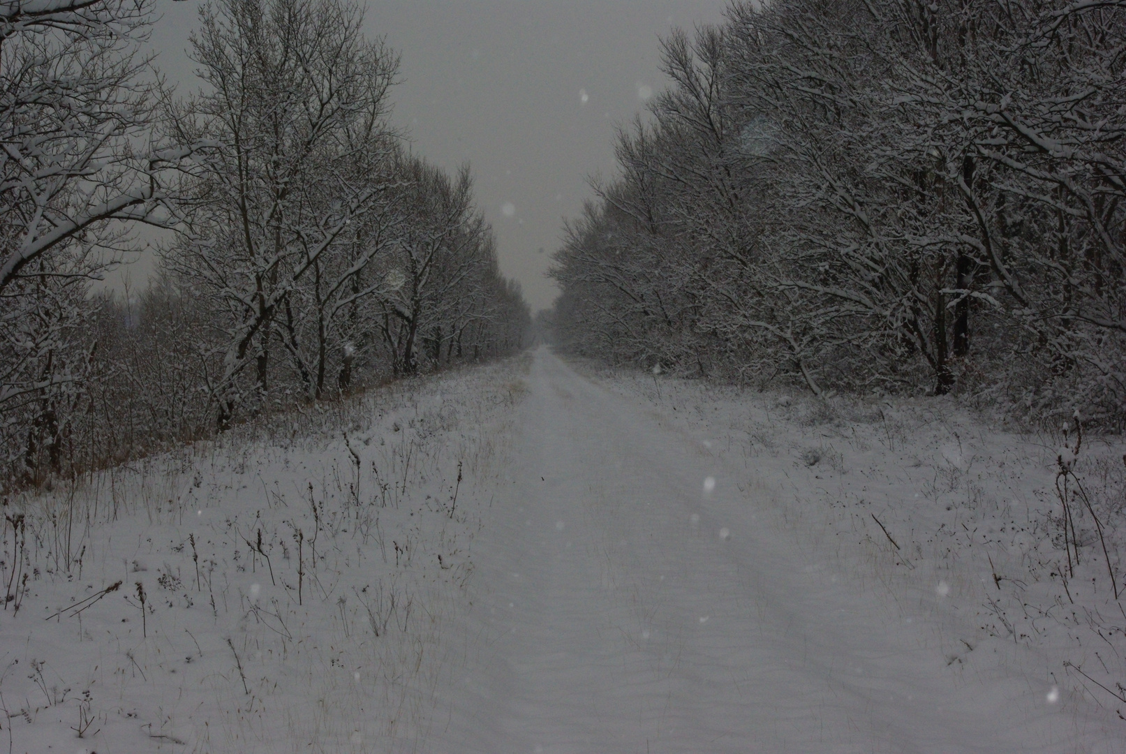 le chemin