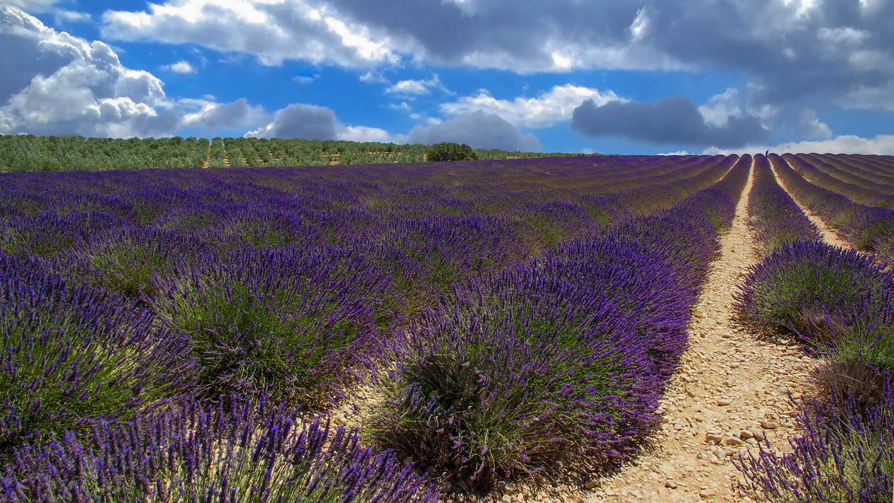 Le chemin bleu