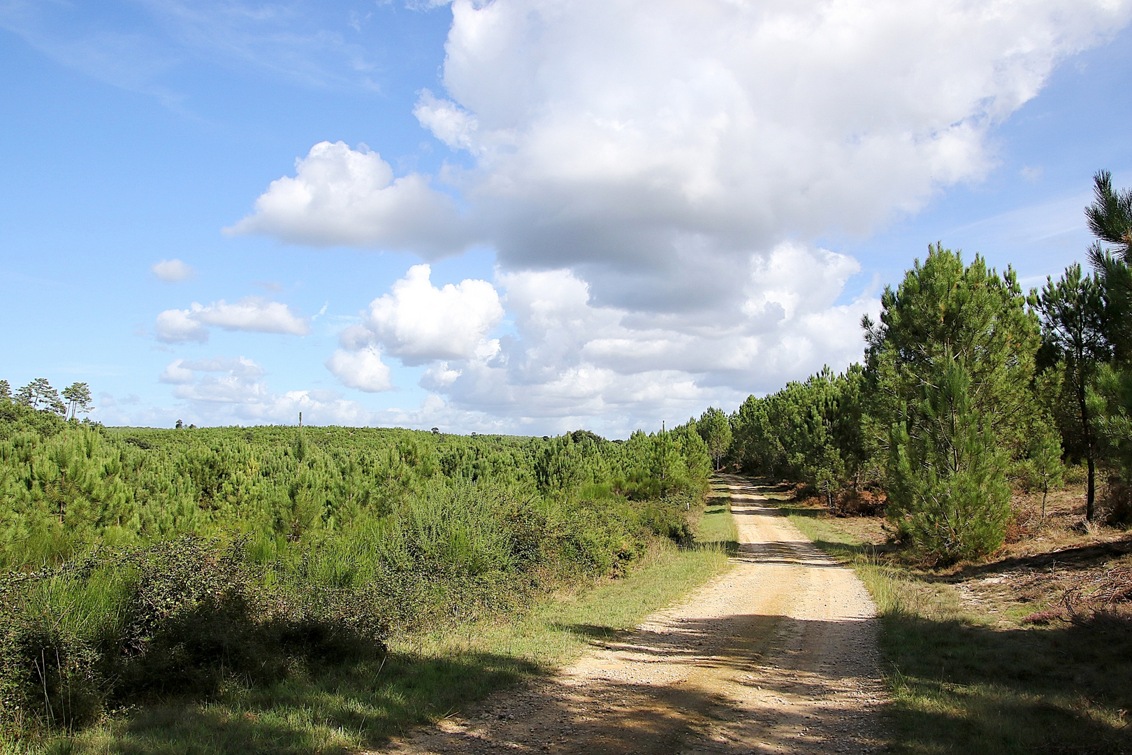 le chemin caillouté !