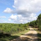 le chemin caillouté !