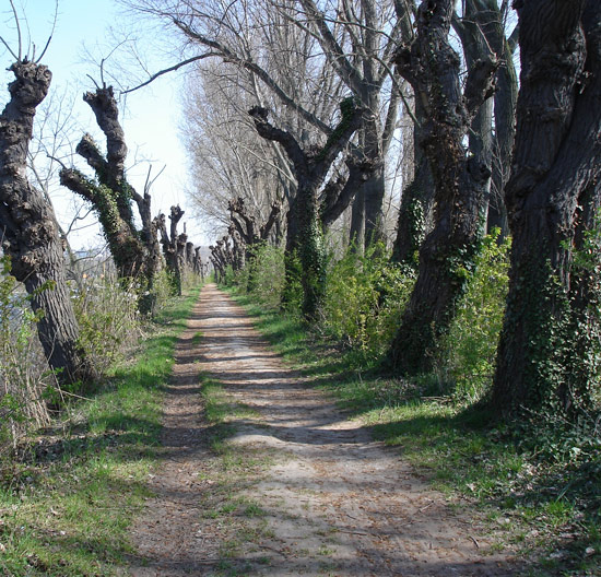 le chemin