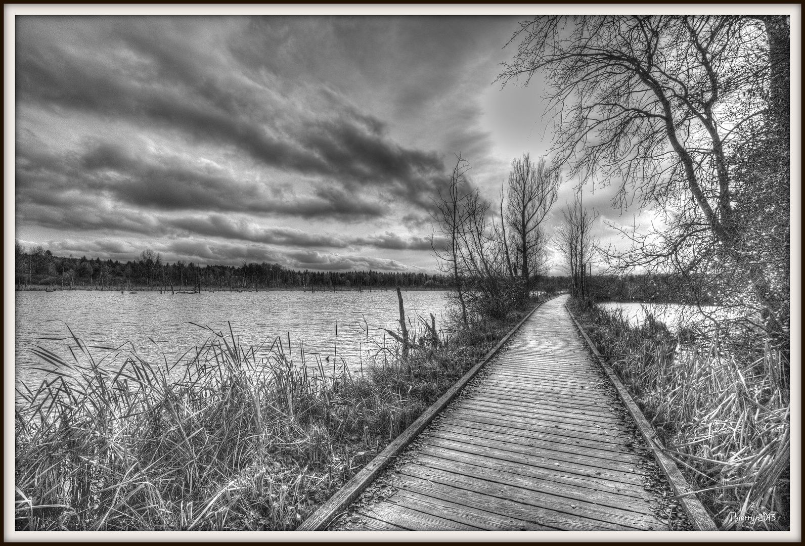 le chemin de bois