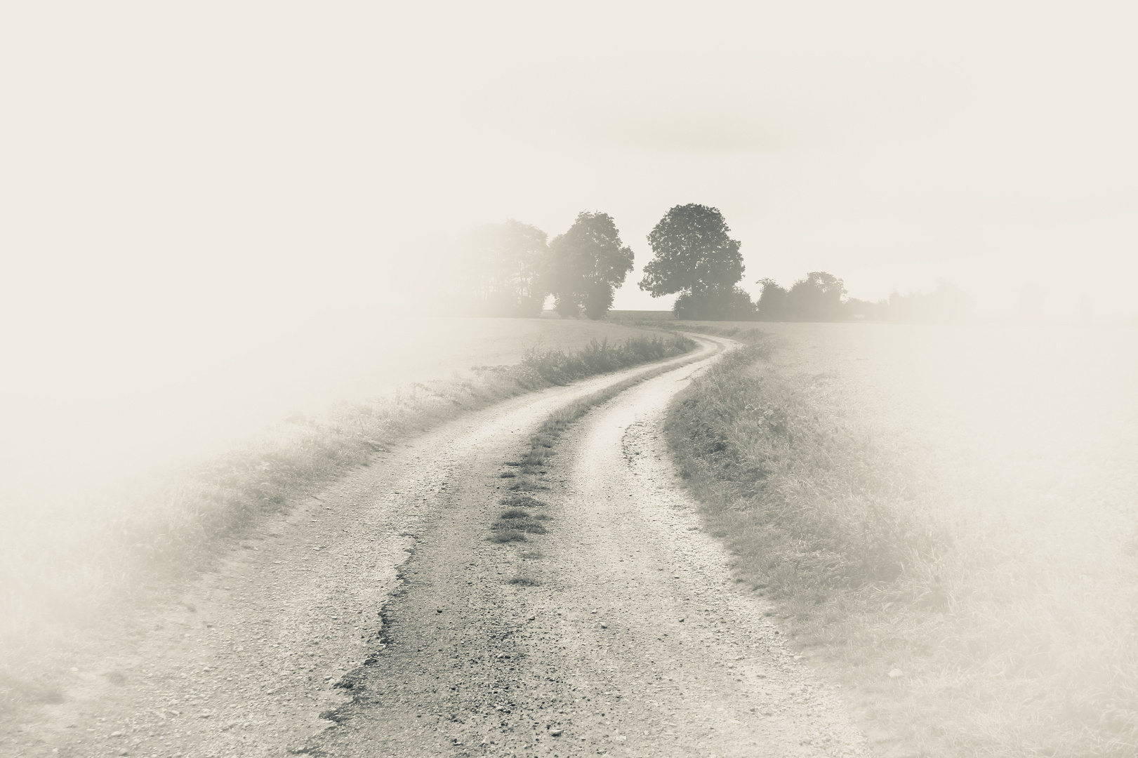 Le chemin de brume.