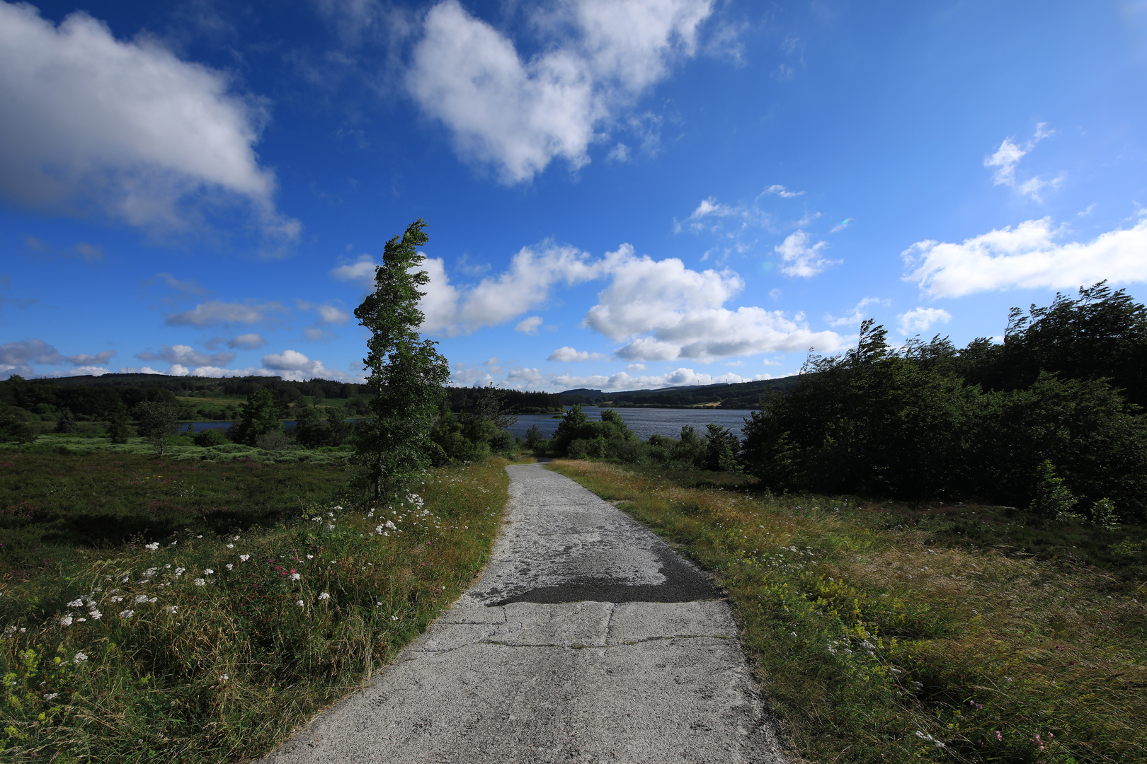 Le chemin de  l évasion