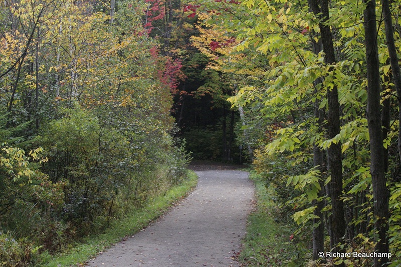 le chemin de la détente