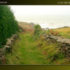 Le chemin de la mer