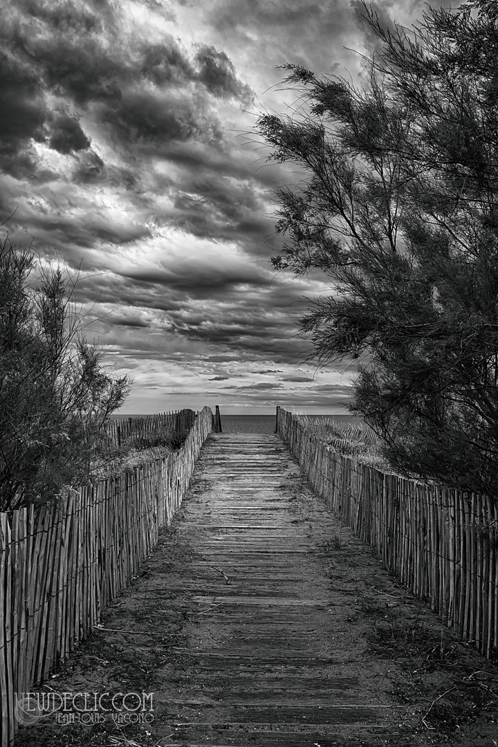 Le chemin de la plage