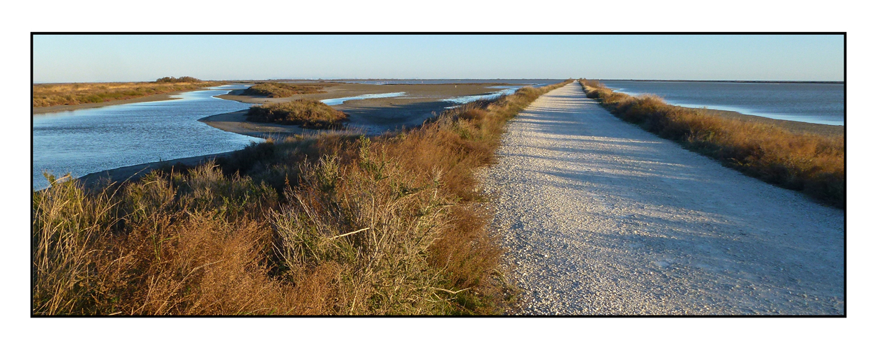 le chemin de la vie