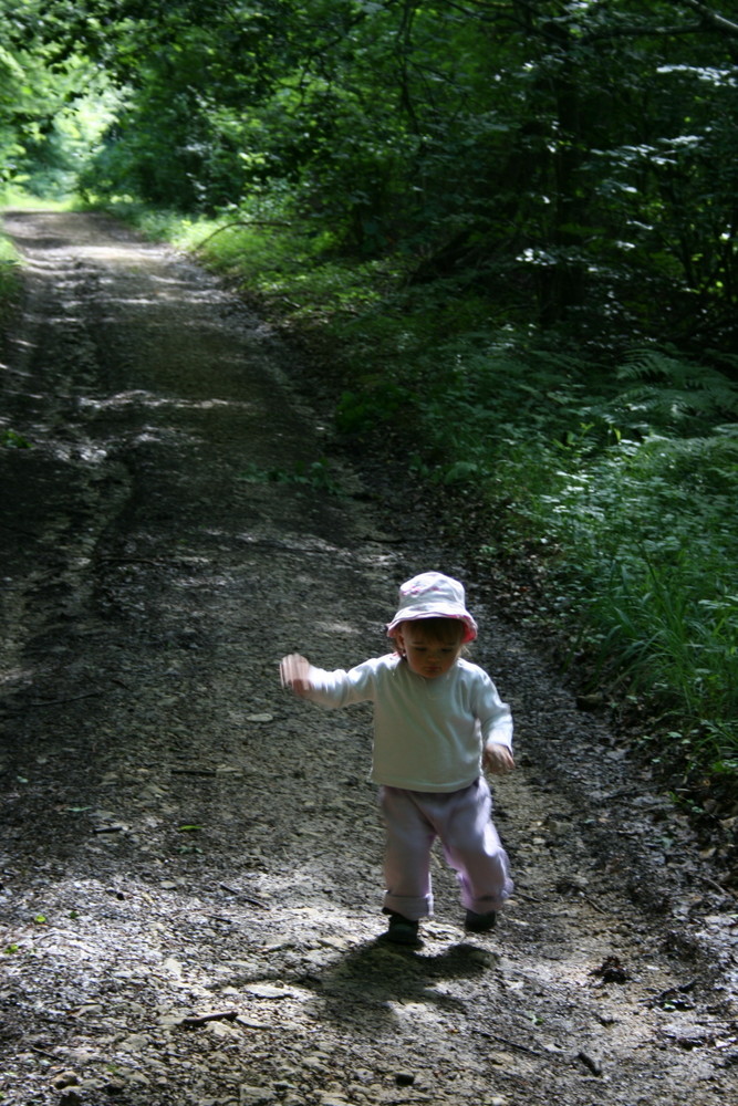 Le chemin de la vie