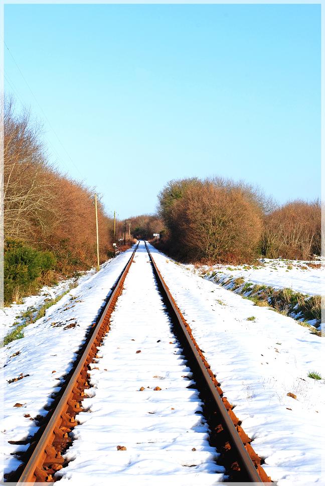 Le chemin de la vie . . .