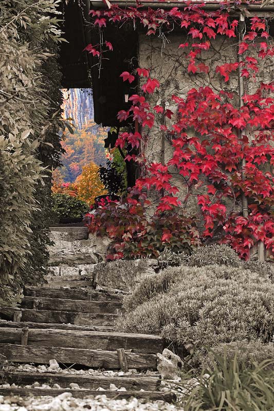 Le Chemin de l'automne