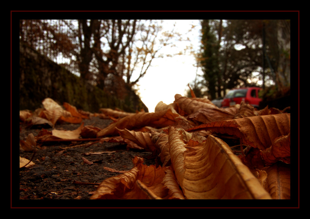 Le chemin de l'Automne