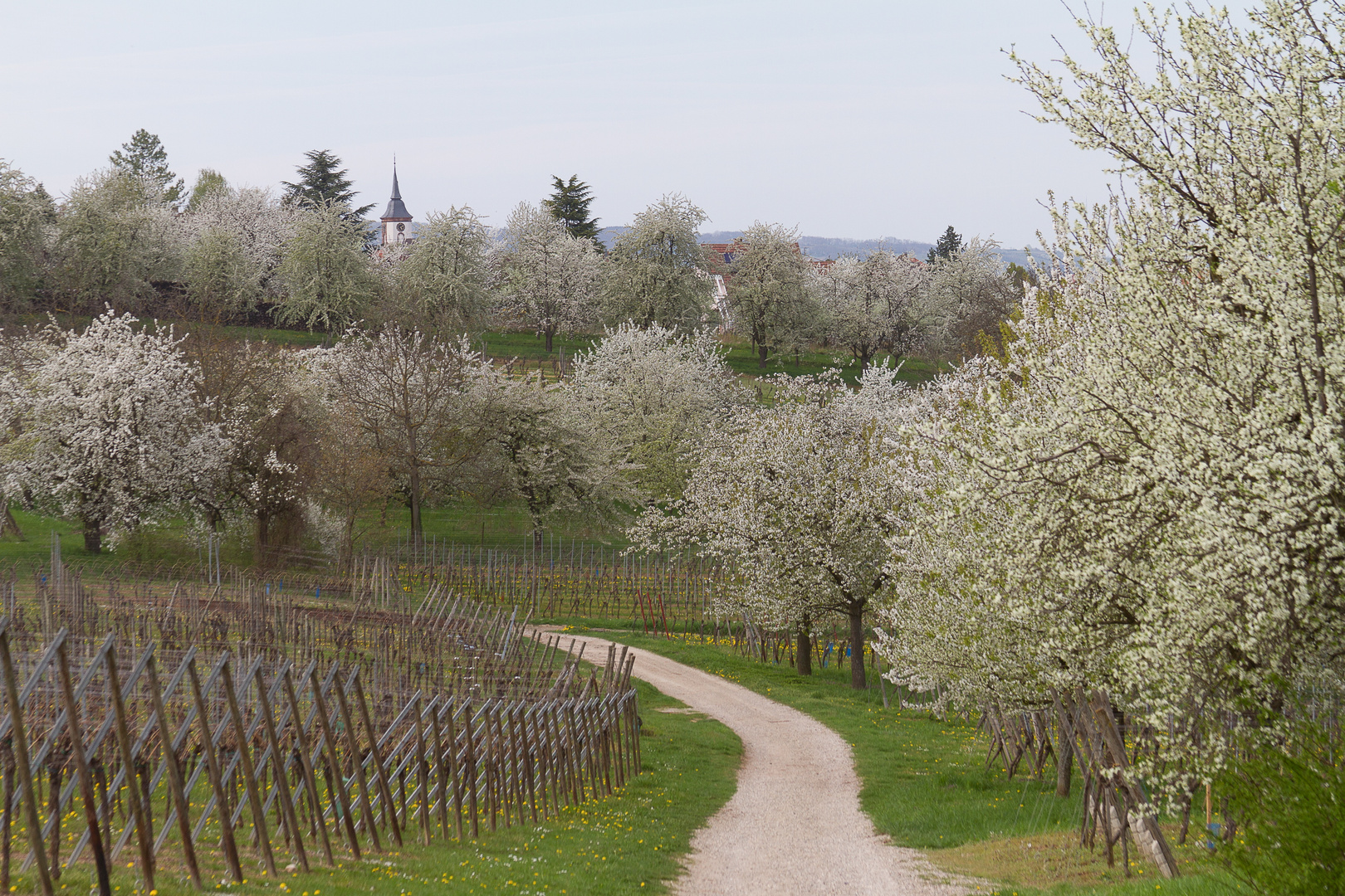 Le chemin de l'église