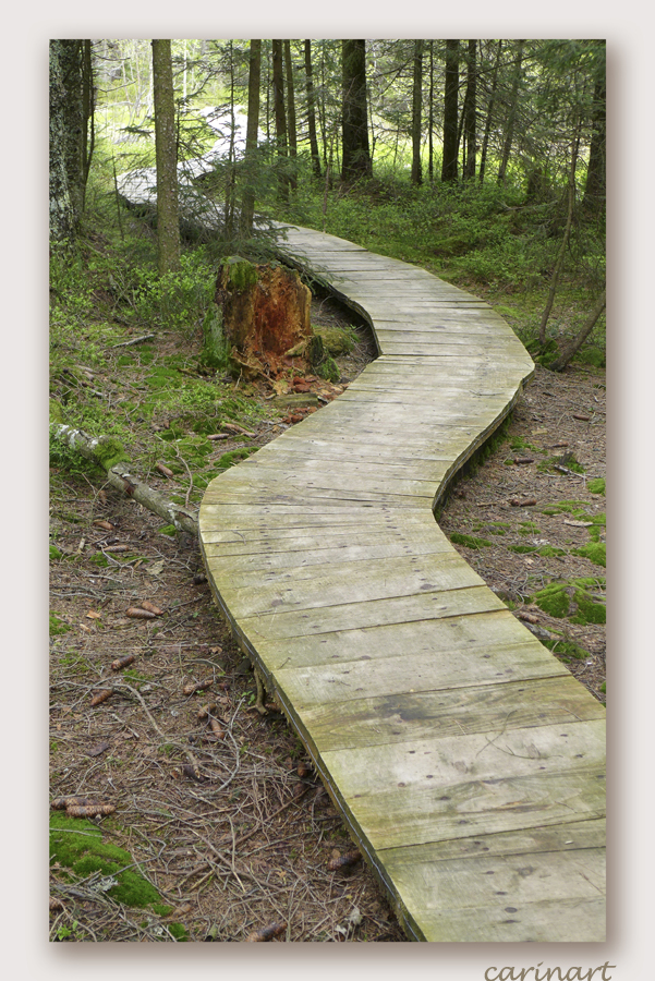 Le chemin de l'hermite / Der Weg des Einsiedlers