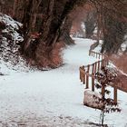 LE CHEMIN DE L'HIVER