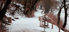 LE CHEMIN DE L'HIVER