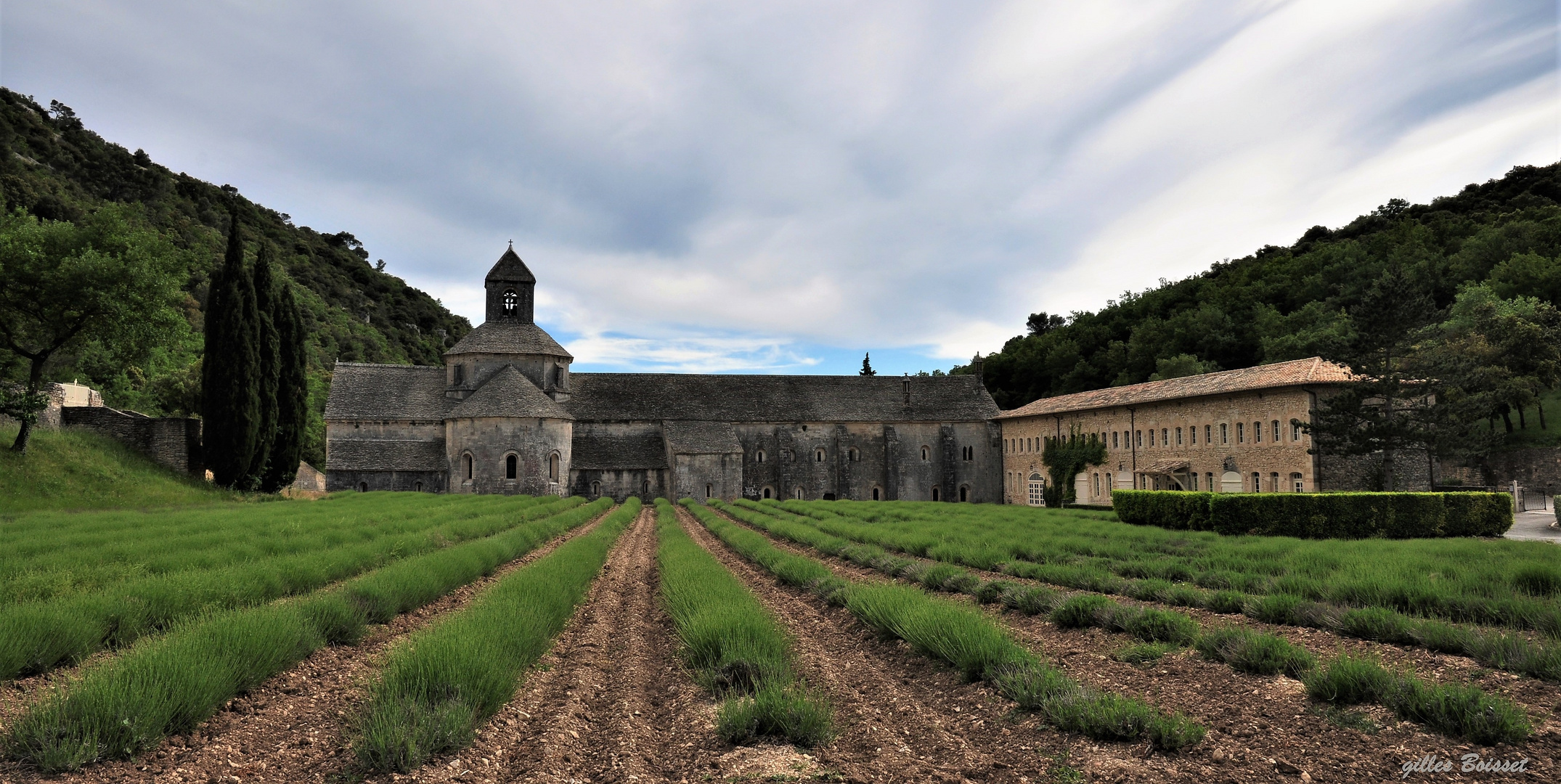 le chemin de Sénanque