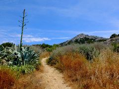 Le chemin des calanques