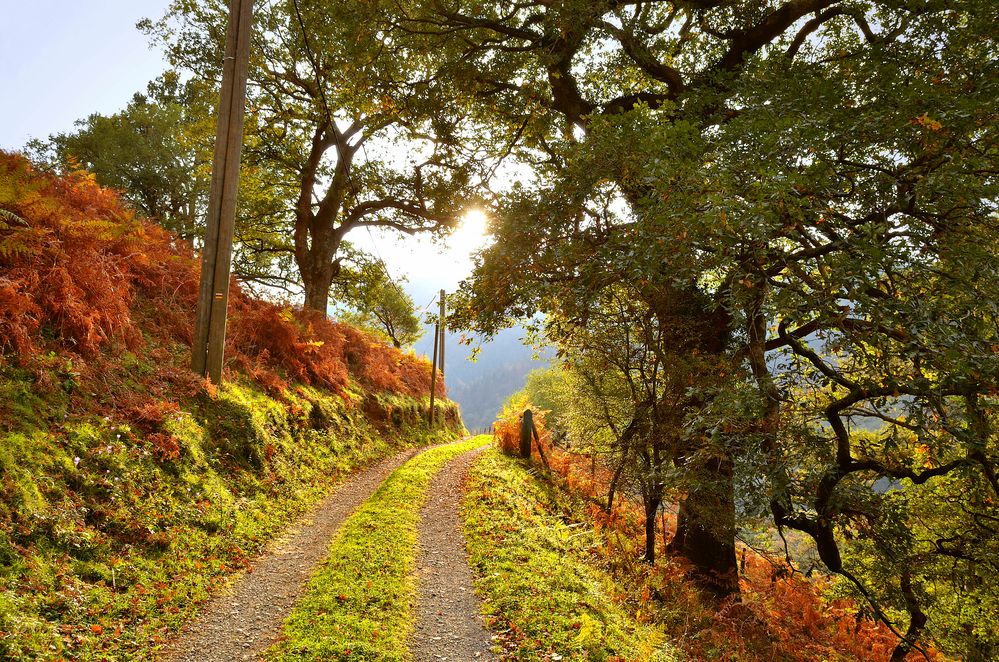 Le chemin des douaniers.