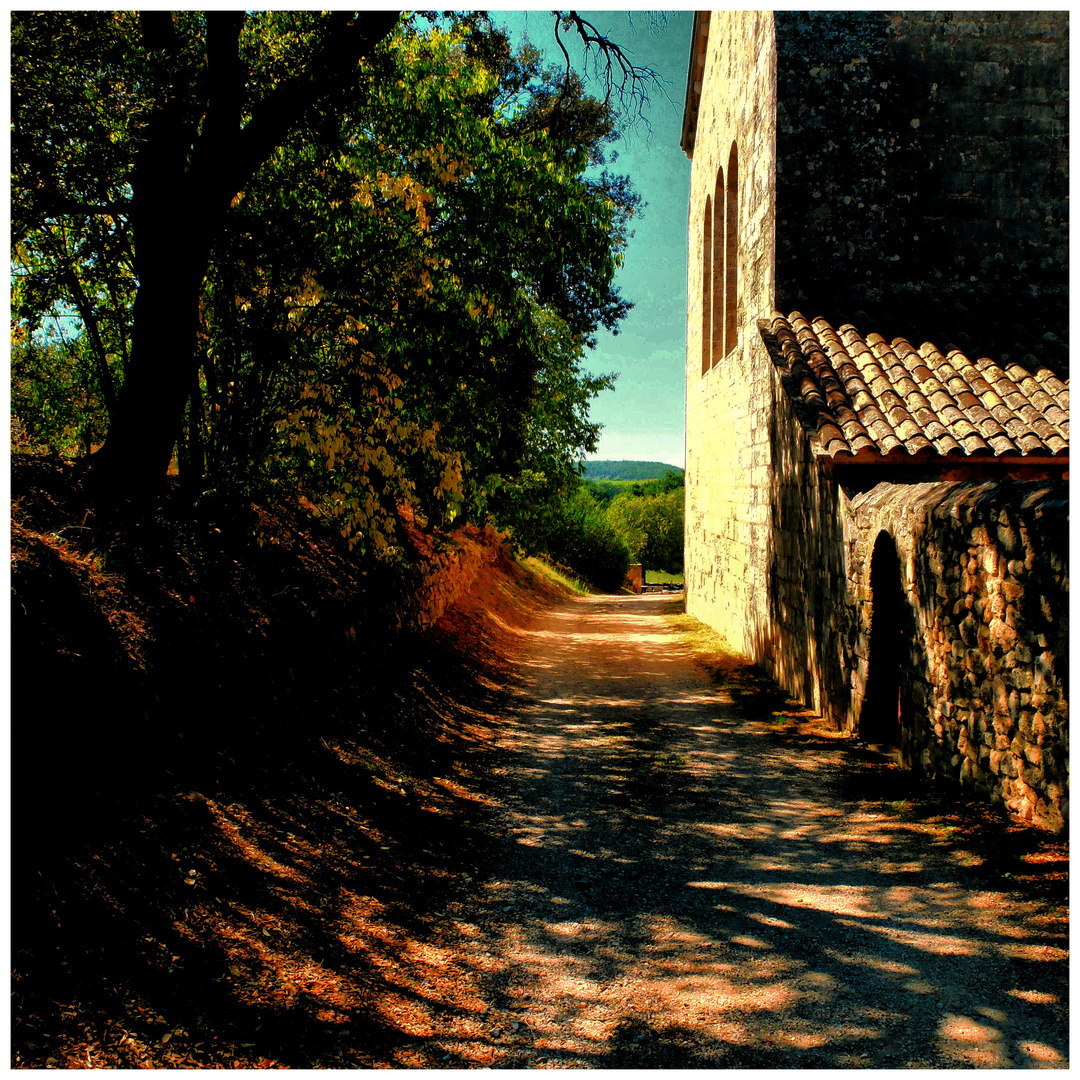 Le chemin d'ombres