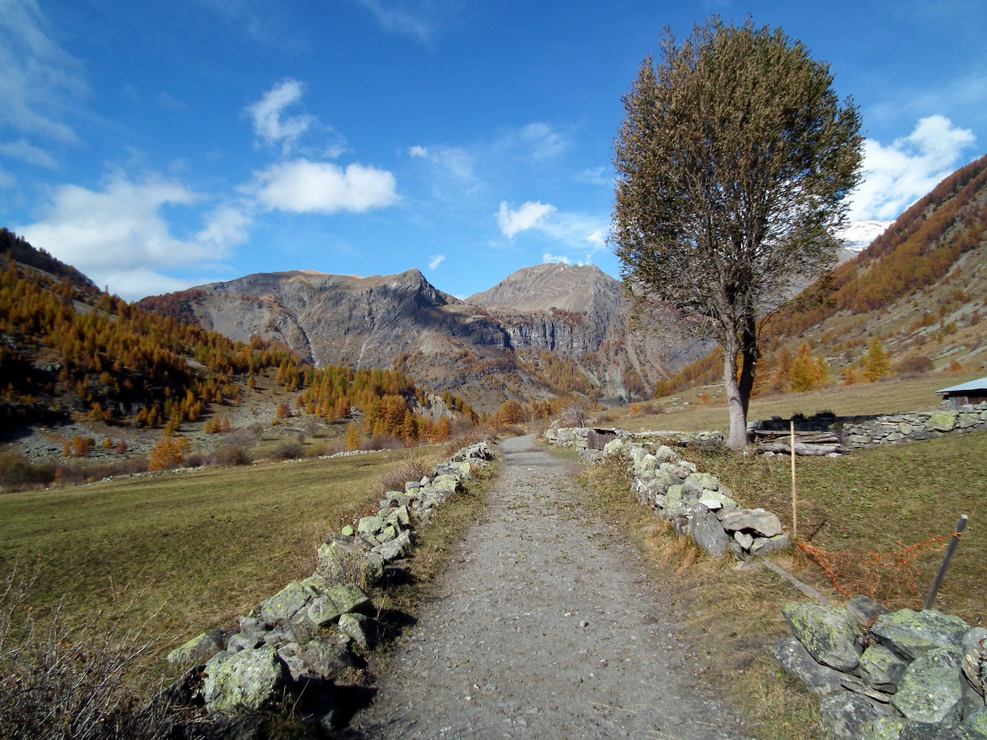 Le chemin du Bonheur ?