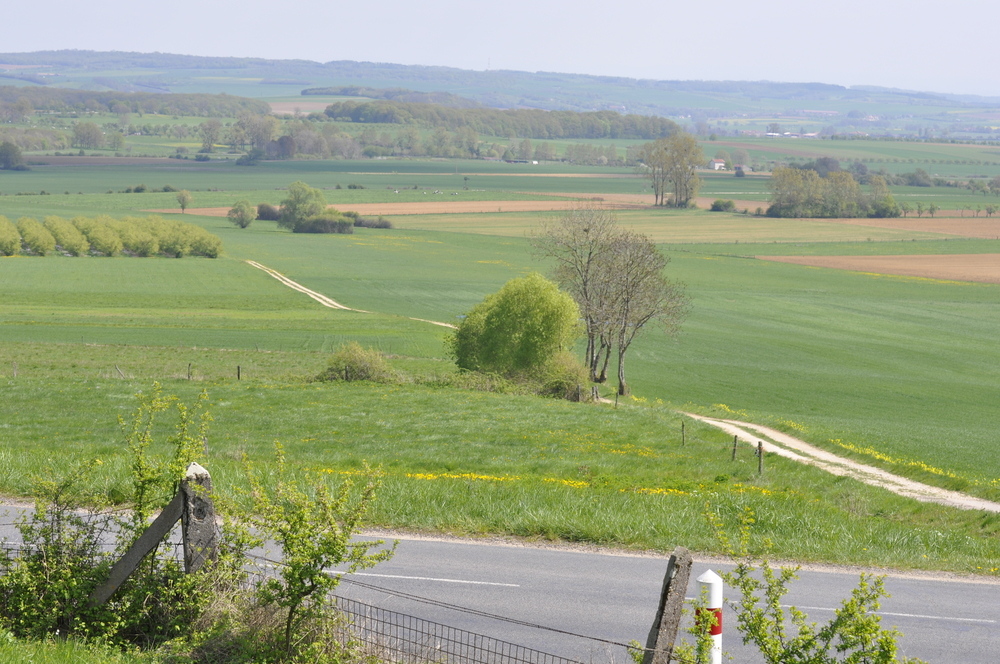 Le chemin du bonheur