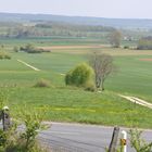 Le chemin du bonheur