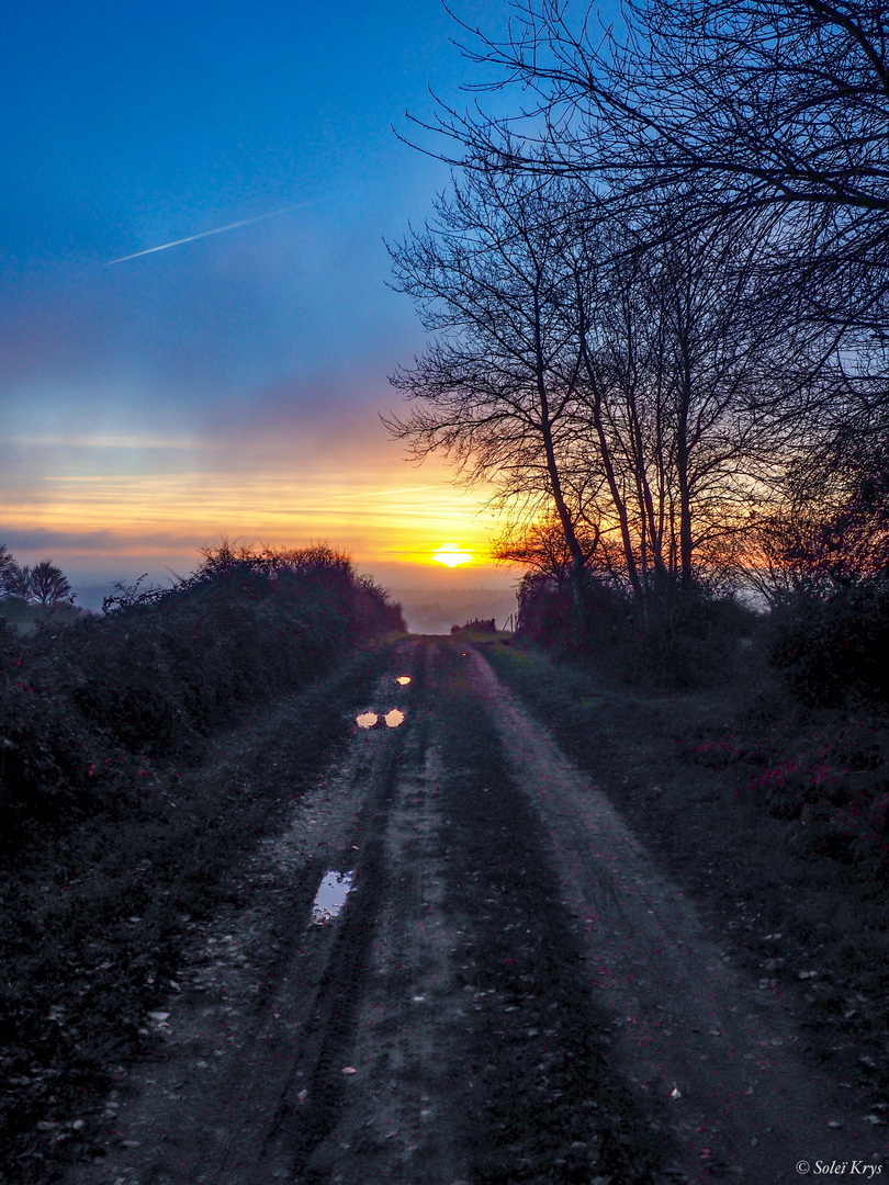 Le chemin du ciel