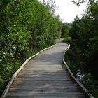 Le chemin du marais de Condette