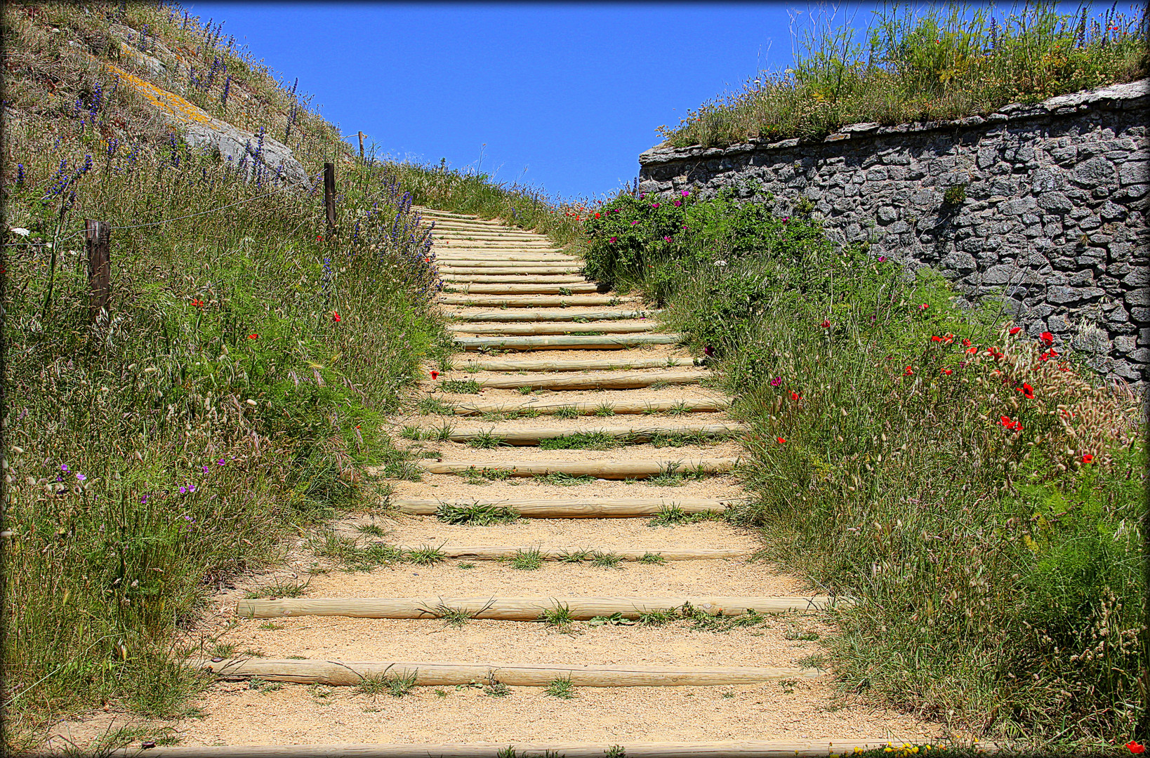 Le chemin du paradis..