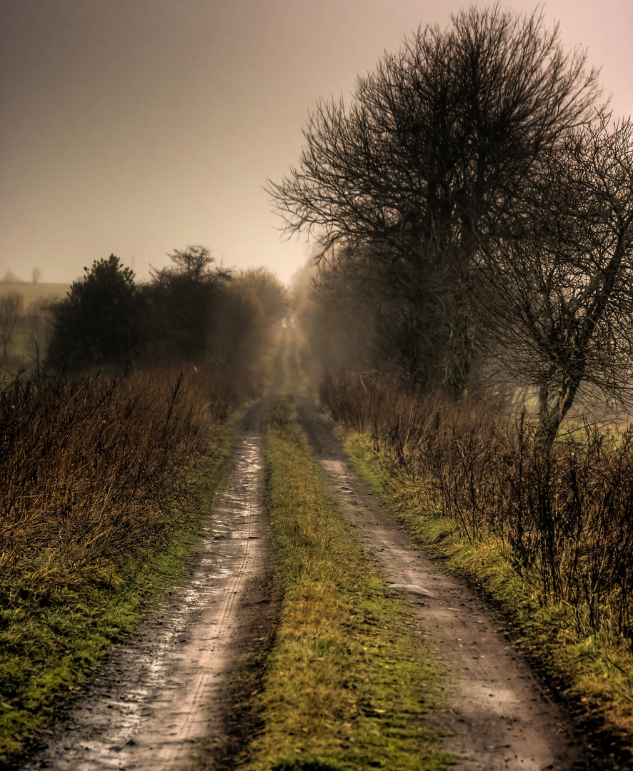 Le chemin