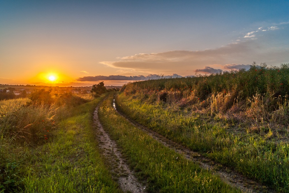 Le chemin