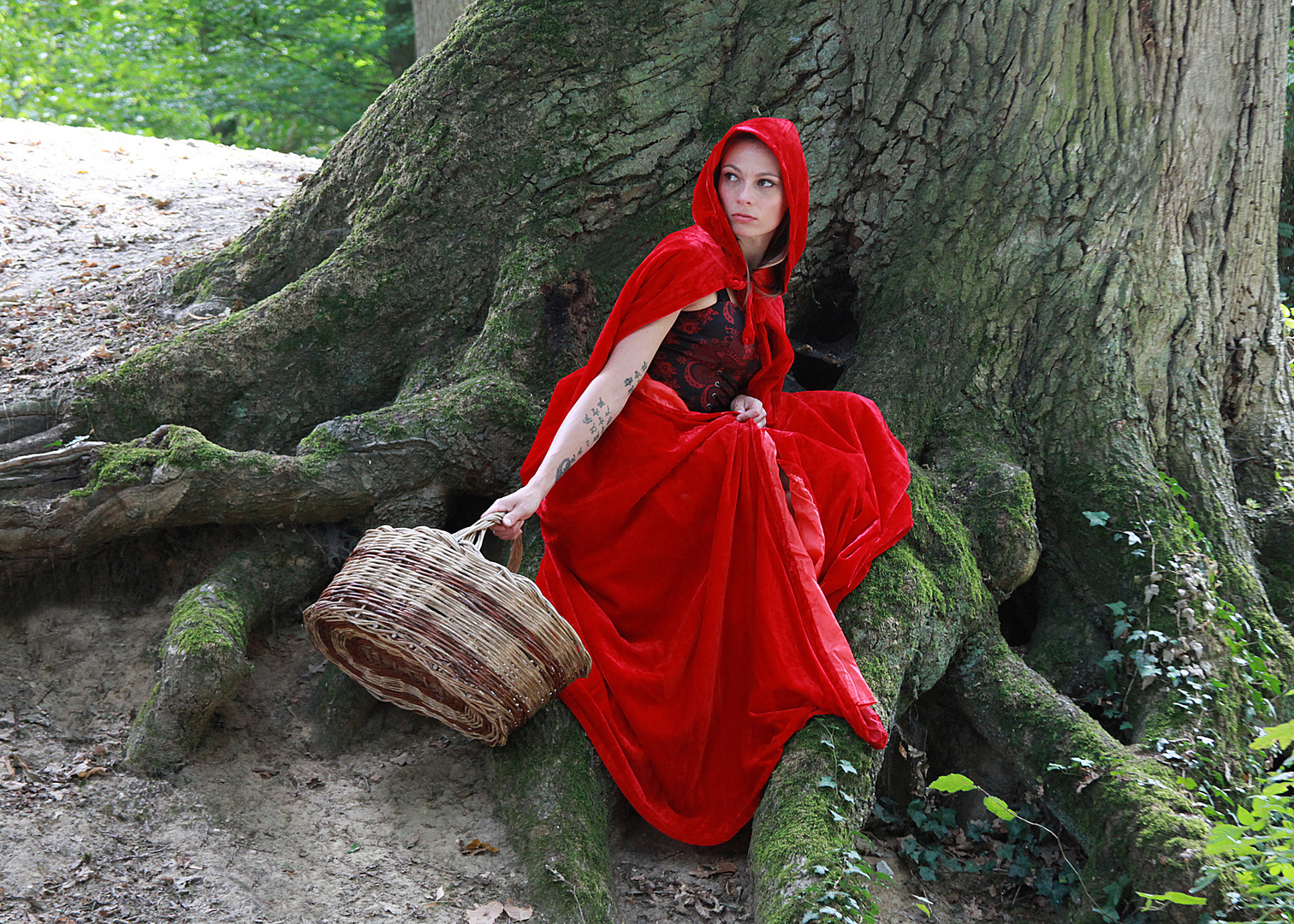 Le chemin est long, le petit chaperon rouge se repose..