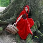 Le chemin est long, le petit chaperon rouge se repose..