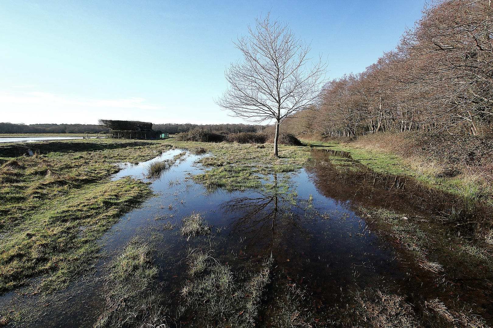 le chemin inondé !